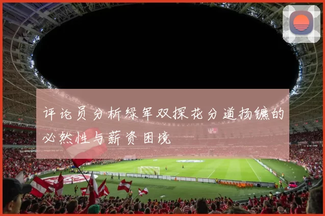 评论员分析绿军双探花分道扬镳的必然性与薪资困境
